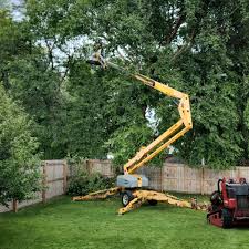 Best Tree Preservation Services  in Ivanhoe, TX